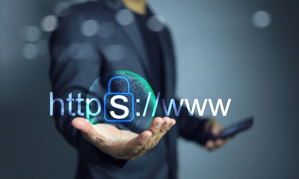 Domain Privacy and Security